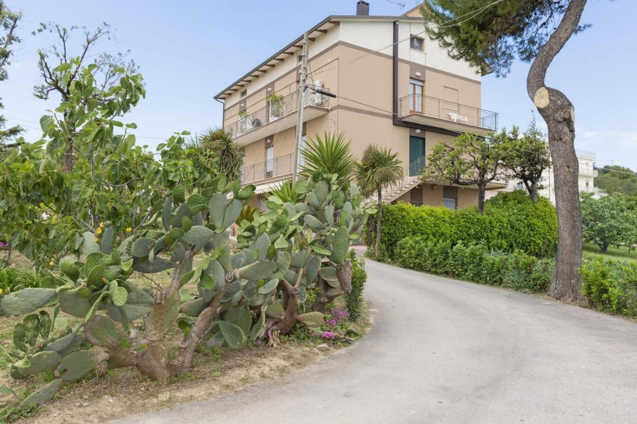 B&B Alba Sul Mare Guest House Massignano Zewnętrze zdjęcie